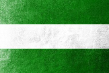 deri dokusu üzerinde boyalı rotterdam şehir bayrağı