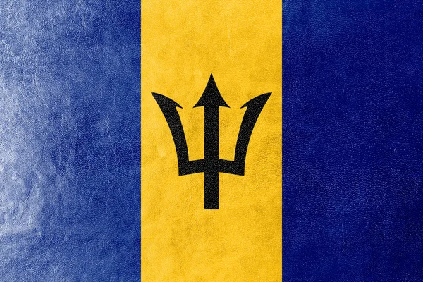 Barbados Flag painted on leather texture — Stock Photo, Image