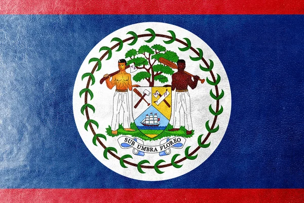 Belize Flag painted on leather texture — Stock Photo, Image