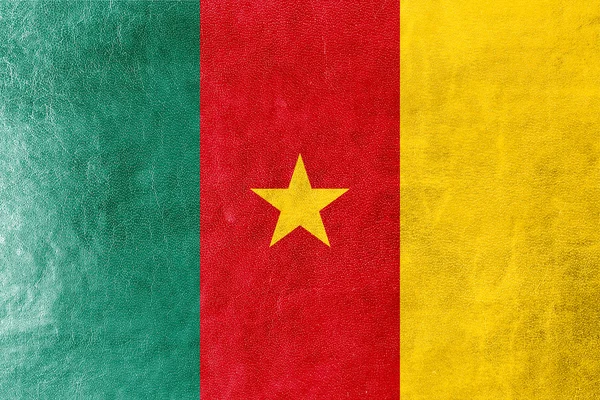 Cameroun Flag malet på læder tekstur - Stock-foto