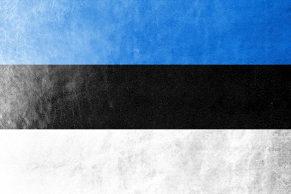 Estonia Flag painted on leather texture — Stock Photo, Image