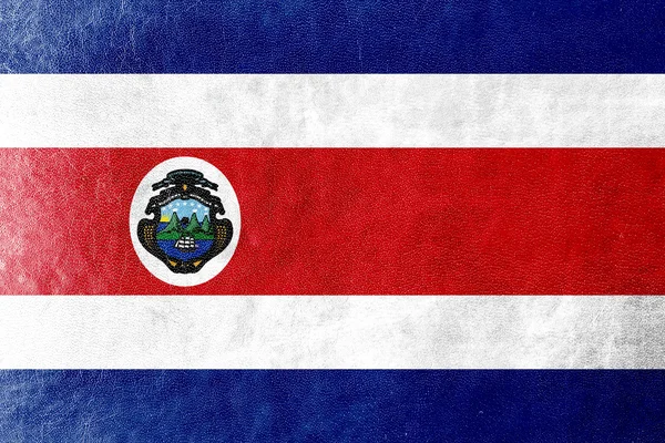 Costa Rica Bandeira pintada sobre textura de couro — Fotografia de Stock