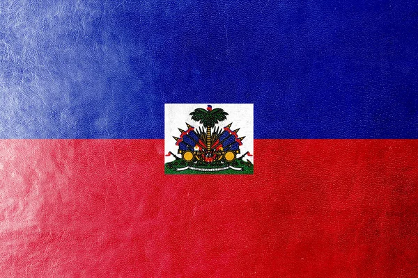Haiti flagga målade på läder texture — Stockfoto