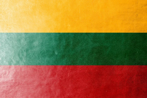 Lithuania Flag painted on leather texture — Stock Photo, Image