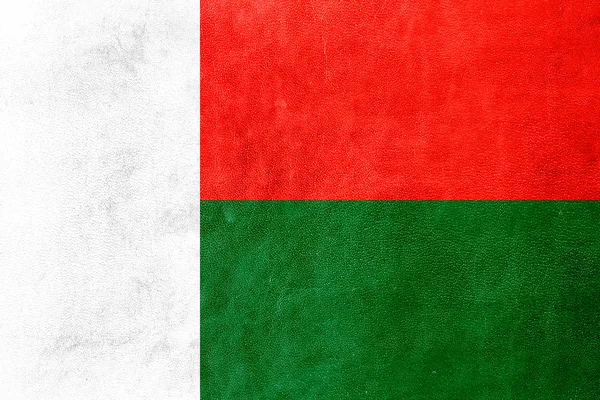 Madagáscar Bandeira pintada sobre textura de couro — Fotografia de Stock