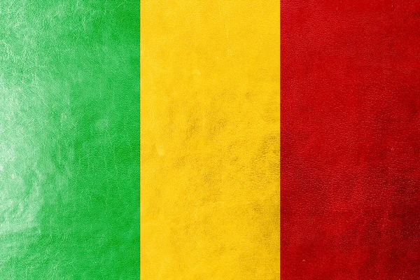 Mali vlag geschilderd op leder texture — Stockfoto