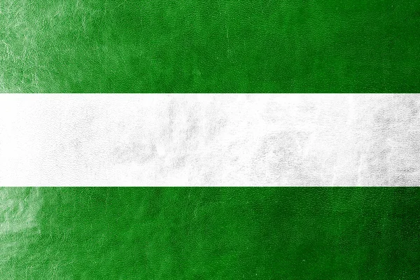 Rotterdam City Flag painted on leather texture — Stock Photo, Image