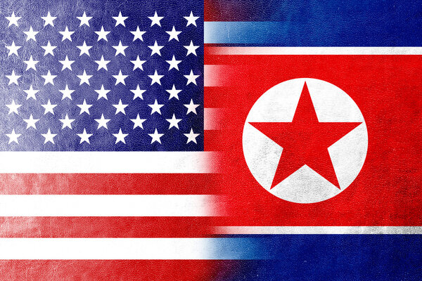 USA and North Korea Flag painted on leather texture