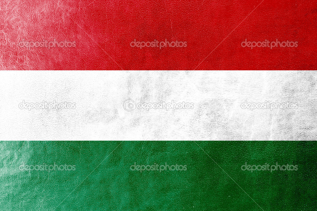 レザーのテクスチャに描かれたハンガリーの国旗 ストック写真 C Promesastudio