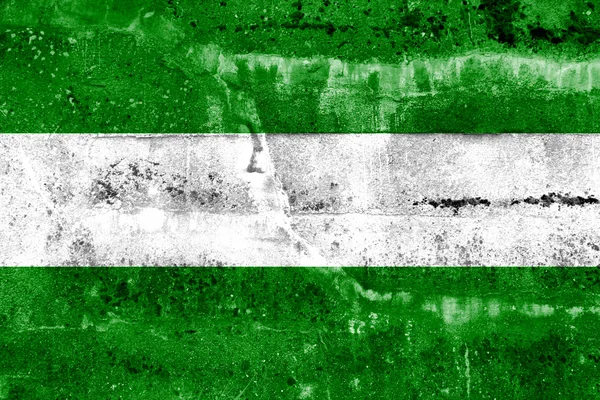 Grunge duvara boyalı rotterdam şehir bayrağı — Stok fotoğraf