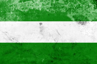 Grunge rotterdam şehir bayrağı