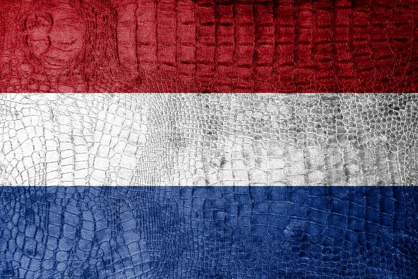 Netherlands Flag painted on luxury crocodile texture — Stock Photo, Image