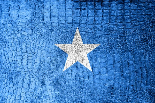 Somalia Flag painted on luxury crocodile texture — Stock Photo, Image