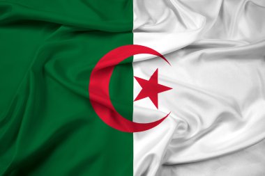 Cezayir bayrağı sallayarak