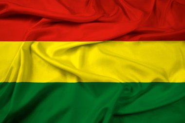 Bolivya bayrak sallayarak