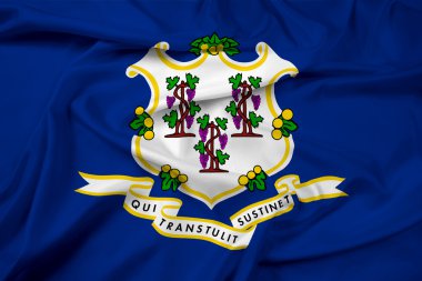 Connecticut eyalet bayrağı sallayarak