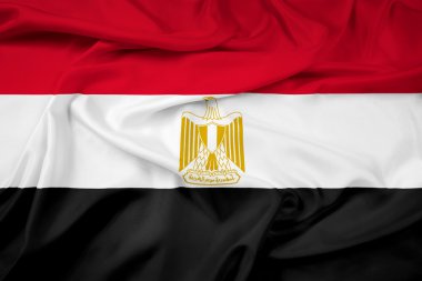 Mısır bayrağı sallayarak