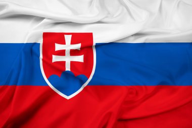 Slovakya bayrağı sallayarak