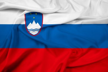 Slovenya bayrağı sallayarak