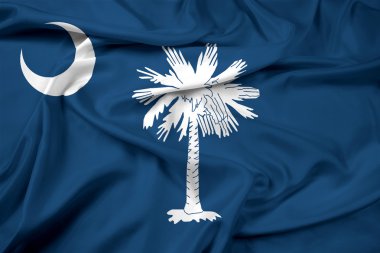 agitant le drapeau d'état de Caroline du Sud