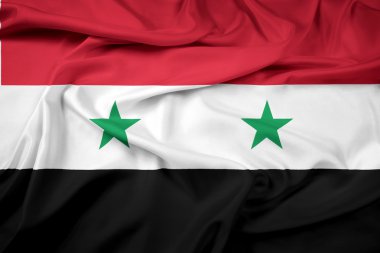 Suriye bayrağı sallayarak