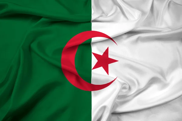 Cezayir bayrağı sallayarak — Stok fotoğraf