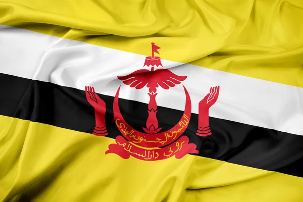 Brandissant le drapeau du Brunei — Photo