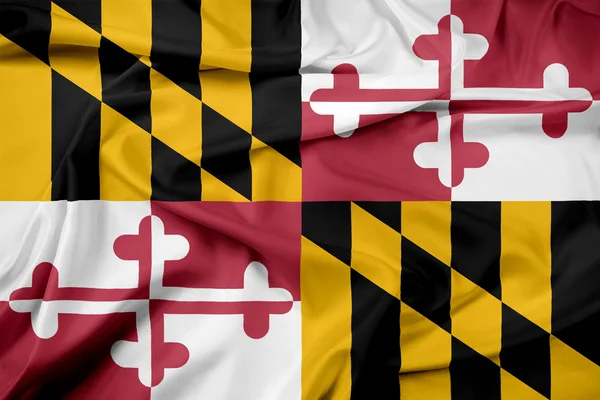 Ondeando la bandera del estado de Maryland — Foto de Stock