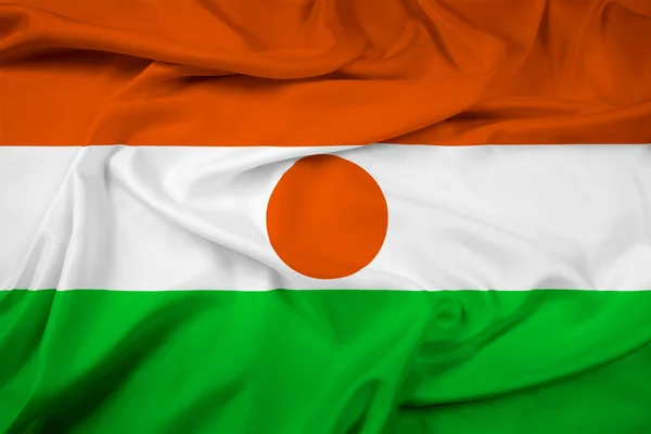 Размахивая флагом Нигера — стоковое фото