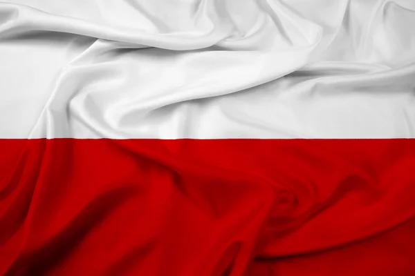 ポーランドの旗を振ってください。 — ストック写真