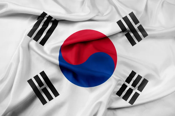 Waving South Korea Flag — Stock Photo, Image