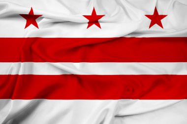 Washington dc bayrak sallayarak