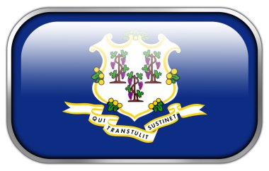 Connecticut bayrak dikdörtgen parlak düğme