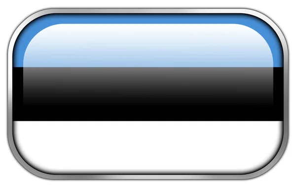 Estonia Flag rectangle glossy button — Stock Photo, Image