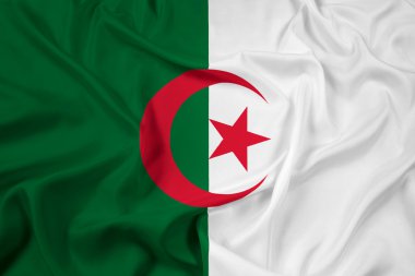 Cezayir bayrağı sallayarak