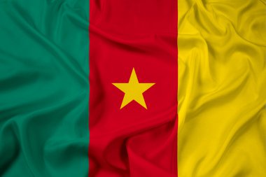 Kamerun bayrağı sallayarak