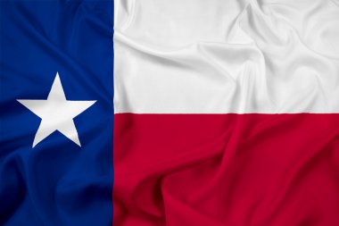 Texas devlet bayrağı sallayarak
