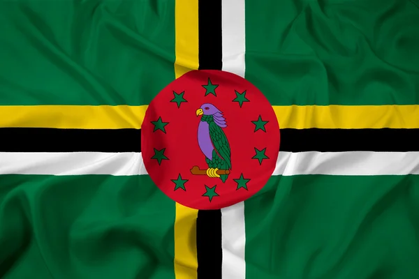 Dominica-Flagge schwenken — Stockfoto