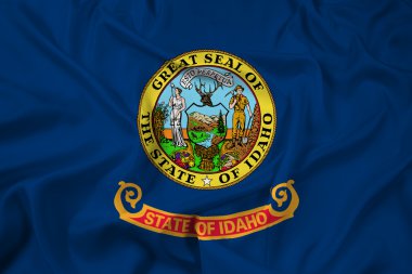 wapperende vlag van idaho