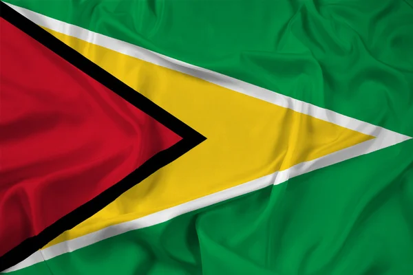 Bølge-Guyana-flagget – stockfoto