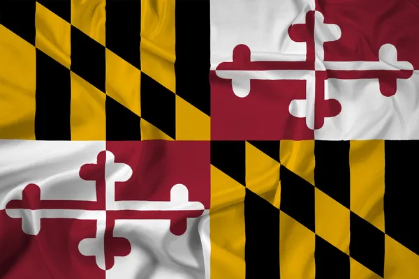 Waving Maryland State Flag — Stock Photo, Image