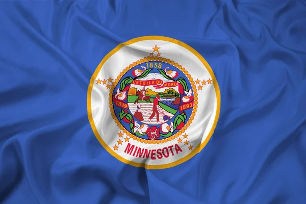 Brandissant le drapeau de l'État du Minnesota — Photo