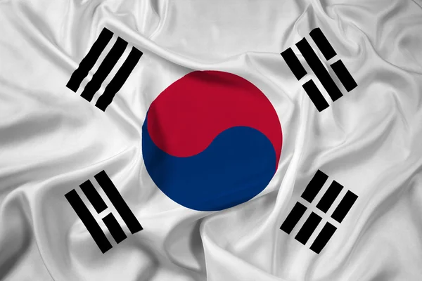 Waving South Korea Flag — Stock Photo, Image