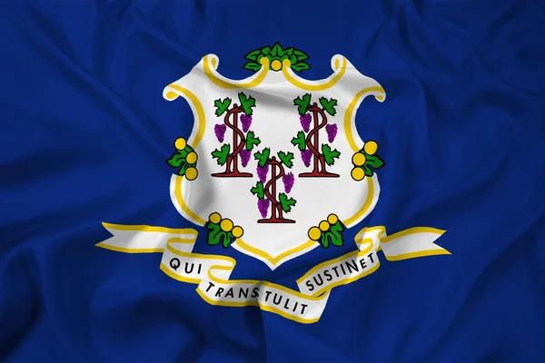Ondeando la bandera del estado de Connecticut — Foto de Stock