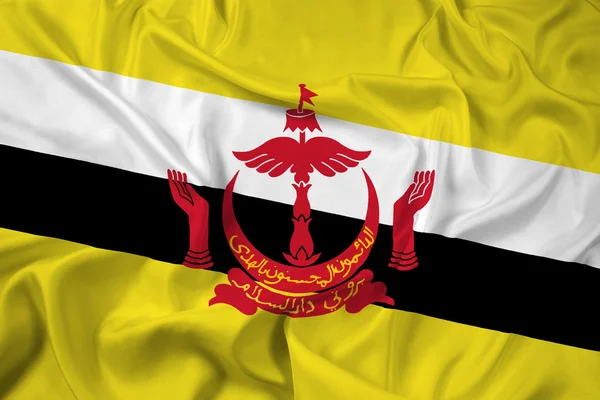 Brandissant le drapeau du Brunei — Photo