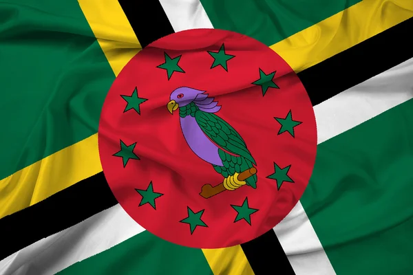 Dominica-Flagge schwenken — Stockfoto