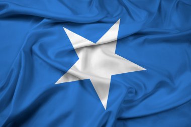 Somali bayrağı sallıyor