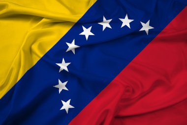 Venezüella bayrağı sallayarak