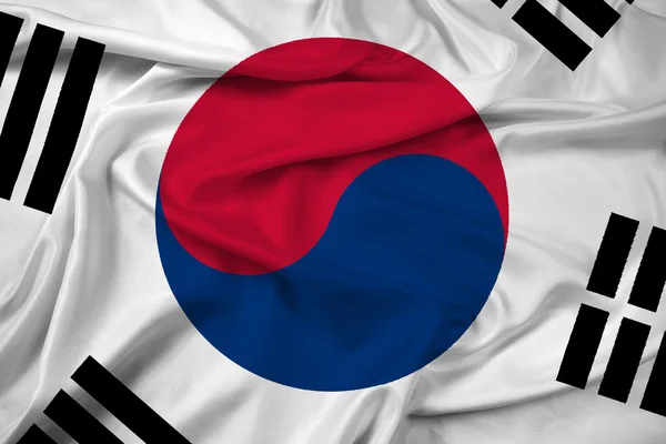 Güney Kore bayrağı sallayarak — Stok fotoğraf