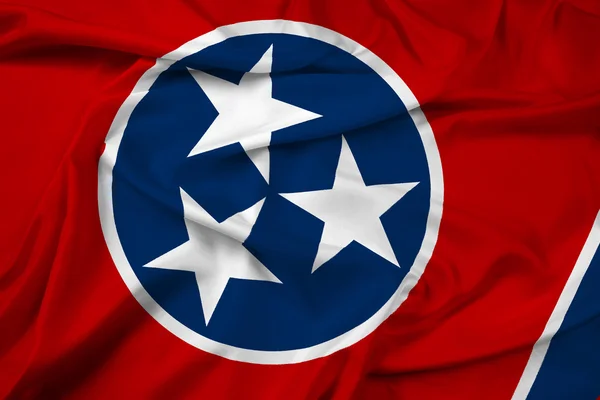 テネシー州の旗を振っています。 — ストック写真